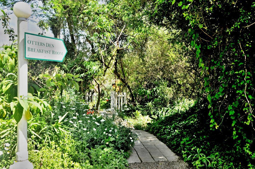 Umlambo River Lodge Kirkwood Exterior foto